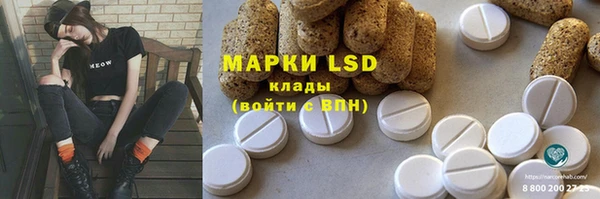 винт Сатка