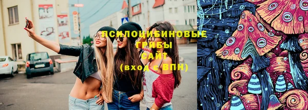 твердый Балахна