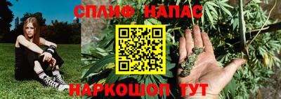 соль ск Новозыбков