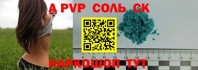 соль ск Новозыбков