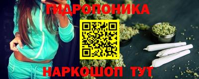 соль ск Новозыбков