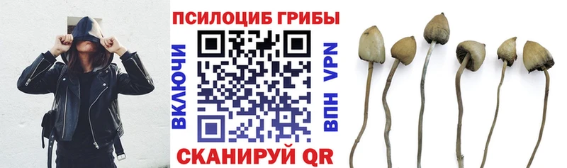 Галлюциногенные грибы MAGIC MUSHROOMS  hydra зеркало  Сегежа 