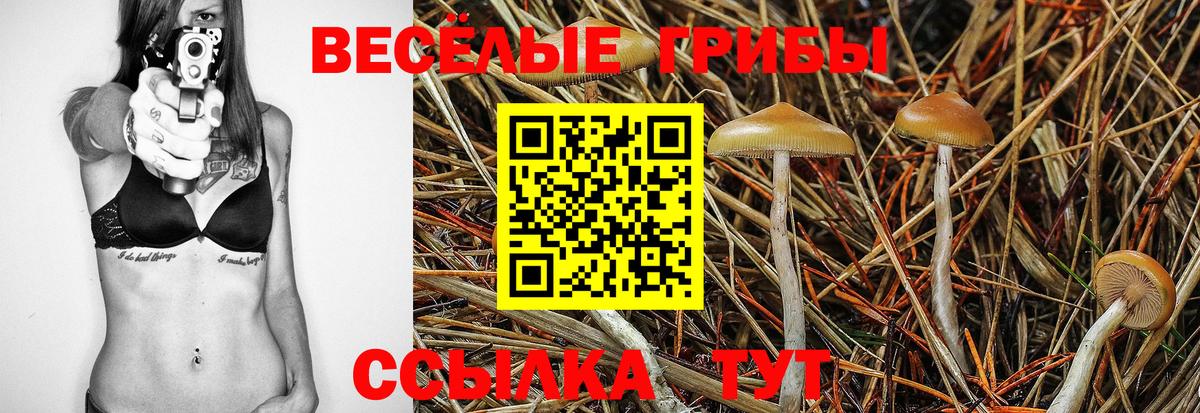 Галлюциногенные грибы мухоморы  Галлюциногенные грибы мухоморы  Сегежа  Вход с VPN 